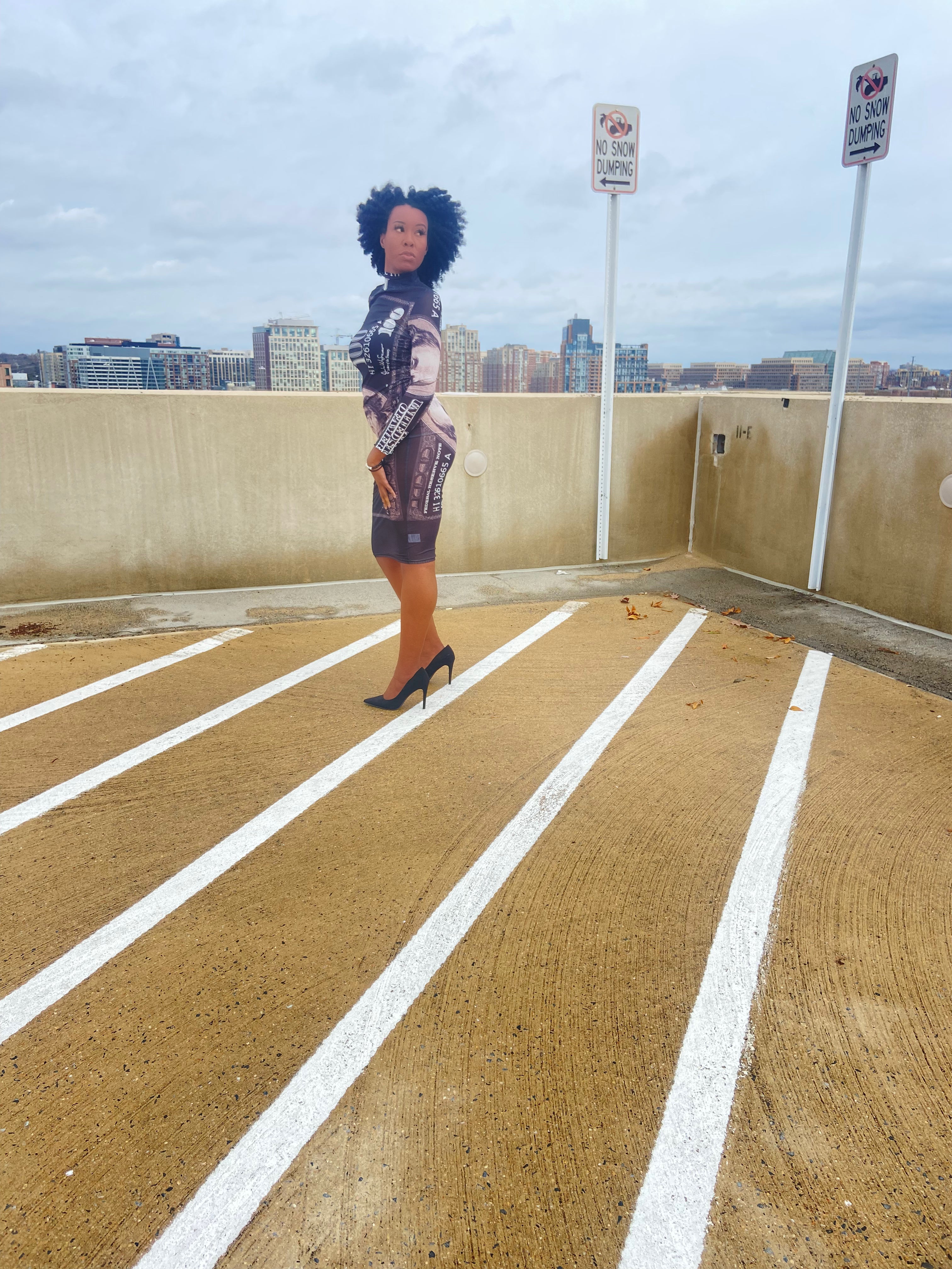 LIKE MONEY MESH DRESS